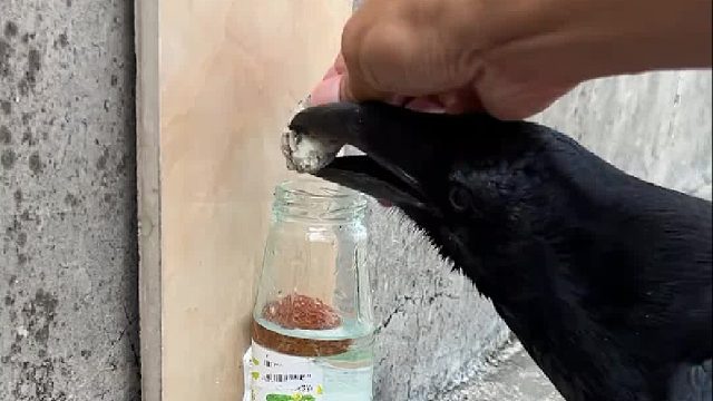 它这些假动作估计连裁判都能骗到