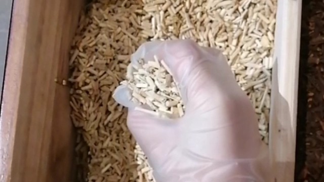 手抖？早发现早治疗早恢复