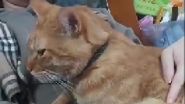 好大声的呼噜声！