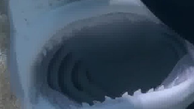 这就是传说中的鱼尾纹吗……