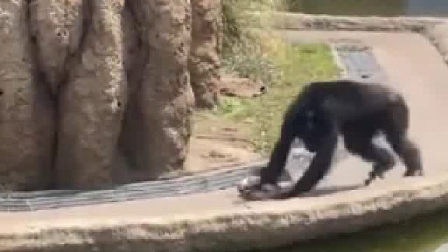 有强迫症吧，擦了好几遍了