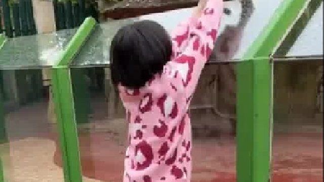 小女孩不小心将美食滑落，急的水獭差点说话。水獭：快捡起来！落地三秒还能吃！