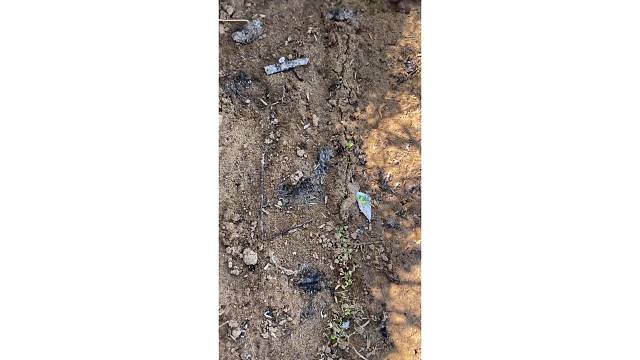 兄弟们我们的第一批菜发芽了