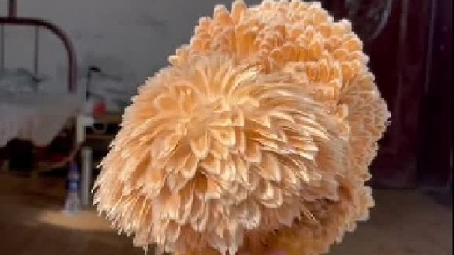 葬爱家族杀马特鸡