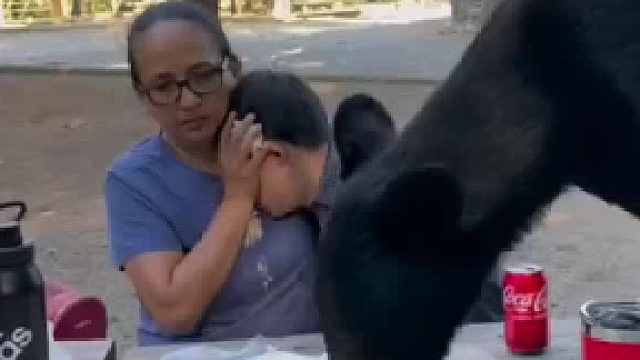 不得不佩服这位母亲足够冷静母亲用手捂住孩子的眼睛防止孩子的恐惧激怒黑熊