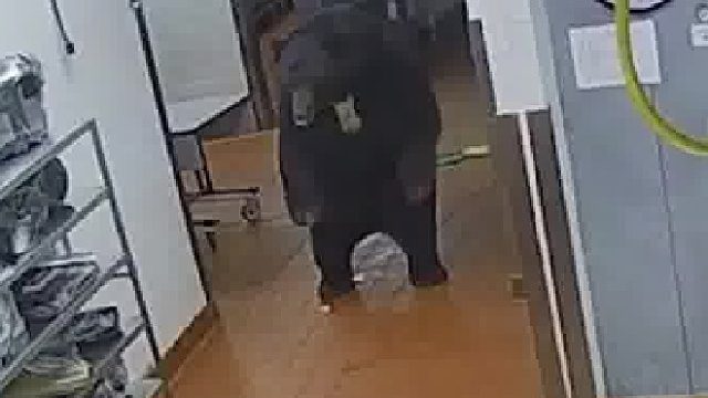 美国一只大黑熊闯入酒店厨房，保安上前查看被一巴掌拍飞在地