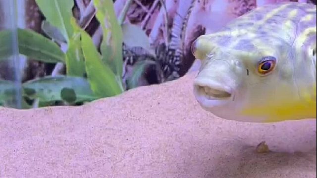 我就问你快不快！