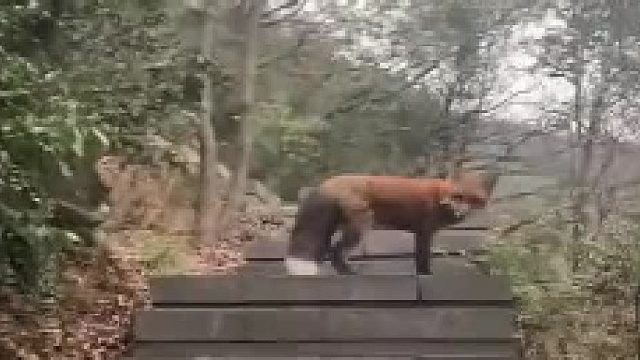 终于碰到个有缘人