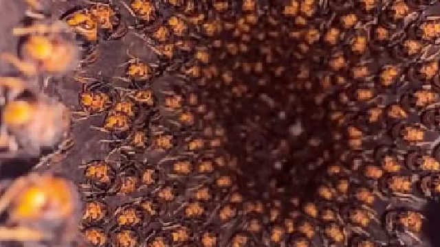 这下还有人有想法吗