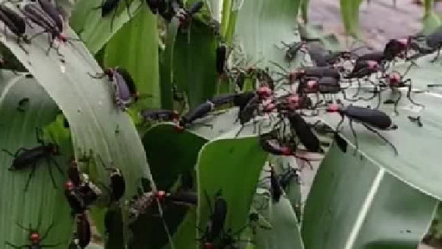 这种情况怎么治啊