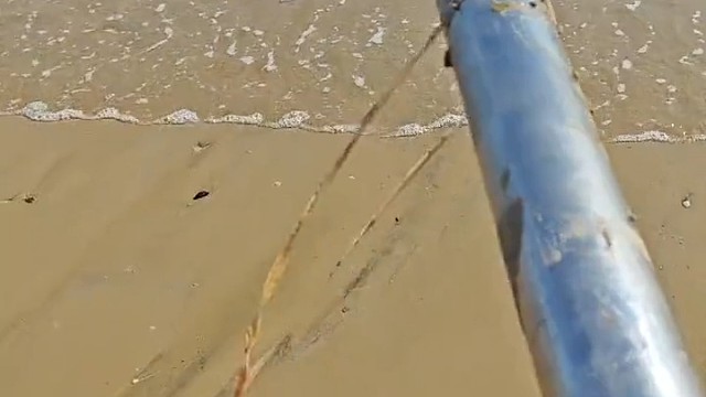 海滩发现奇怪的面条