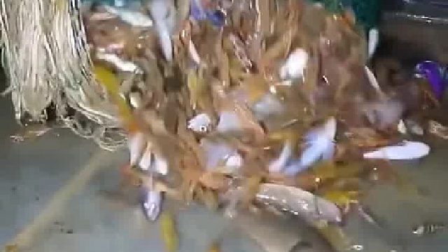 我看到里面有条蛇呀