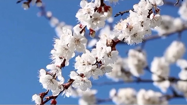 没有产品，终将是镜花水月；没有服务，终将难以发展……