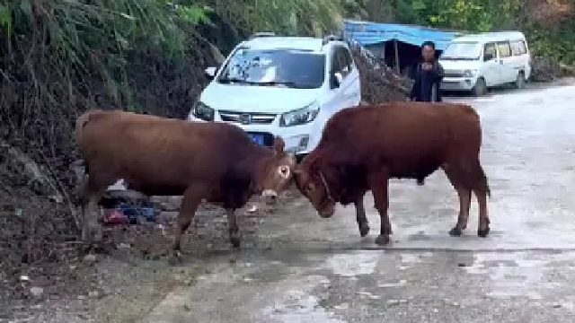 有话好好说，不要打架