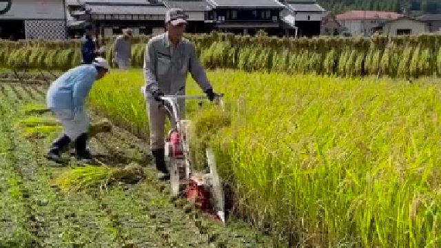 一台机器一天抵10个人不值