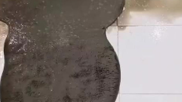 来猜一下，这个猫咪原本的颜色