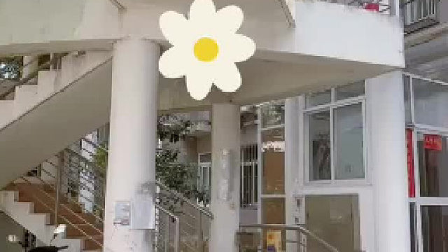 花2千多万买的奇葩房子上海浦东中环靠内环学区房