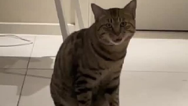 大家觉得嘎前嘎后的叫声有变化吗