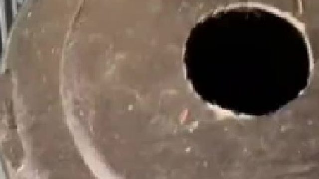 猫：你最好找我有事！