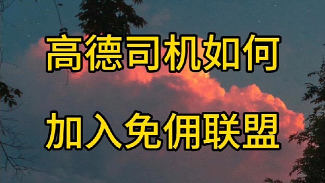高德快车司机，高德免佣联盟加入流程，高德司机加入？