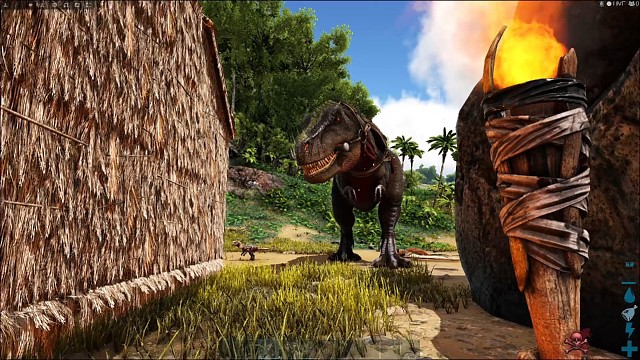 方舟，生存进化