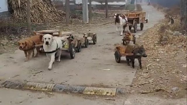 大哥们都回来了