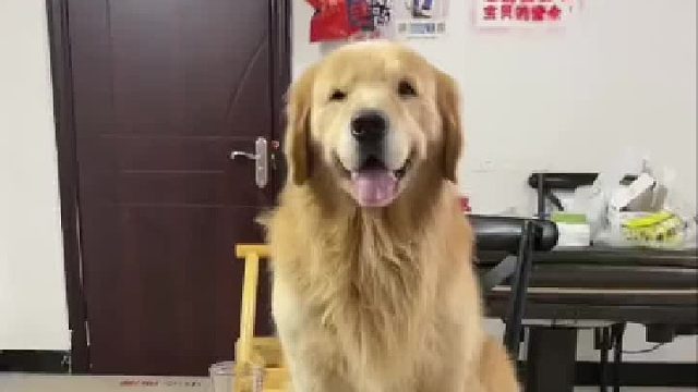 长海是真够意思，还给我介绍的外国老妹儿