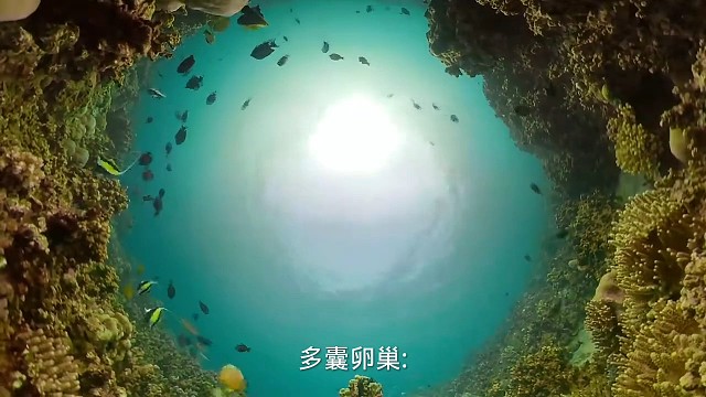 2症状#愿天下更健康更长寿