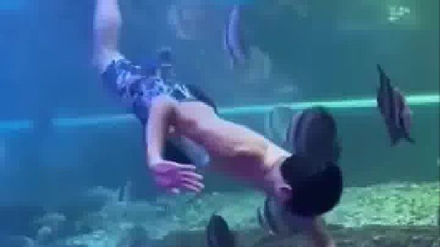 游泳员表演被海龟误伤，反手给海龟按摩头部。海龟：功德给你加满了，别敲了，头疼