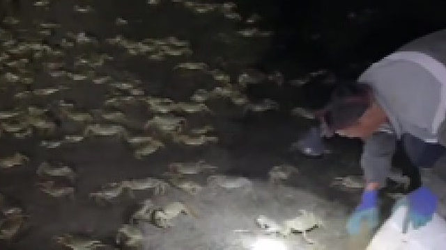 这跟捡钱有什么区别啊