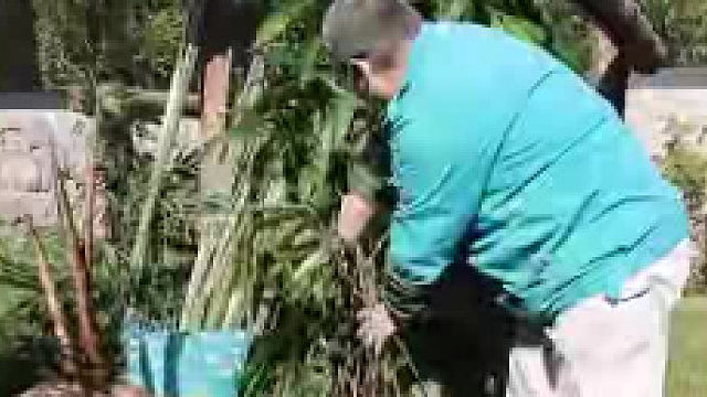 这是丫丫，已完全看不出来在美国的样子