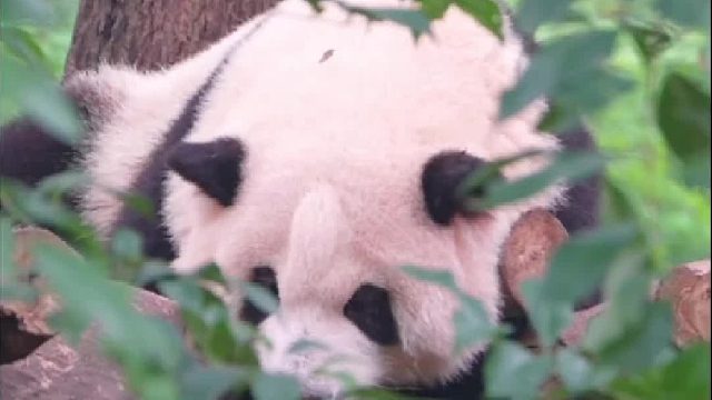 什么？假的？要不你进来看看？