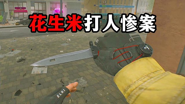 花生米打人惨案 逃离塔科夫