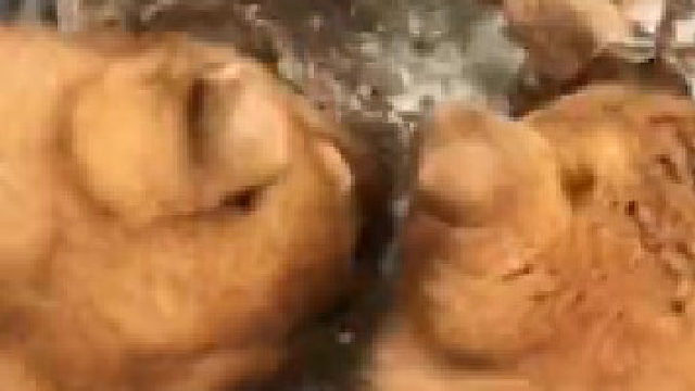 吃完发现又饿了