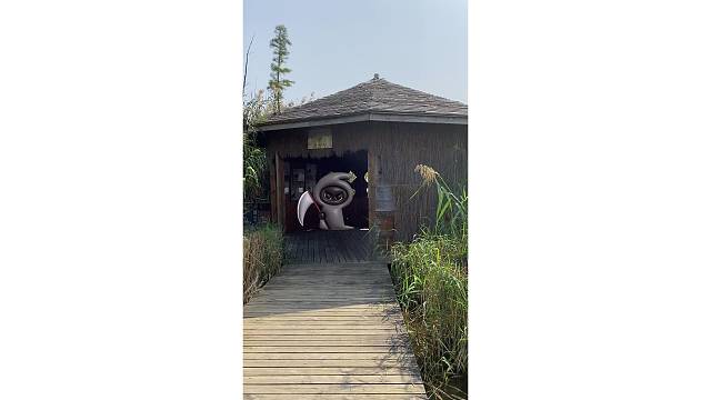 支持上海万圣节