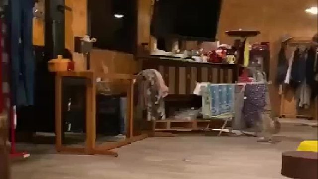 猫头鹰不跑起来，你永远不知道它的腿有多长