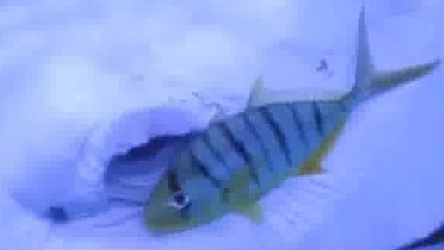 没被发现的同事咋办？