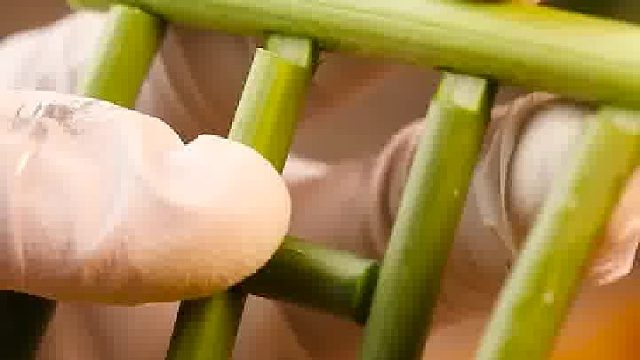 用妈妈的蒜苔做了一个小板凳，如何？