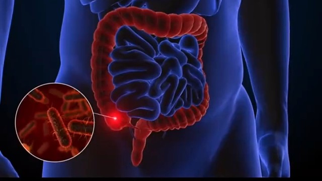 植物神经紊乱表现