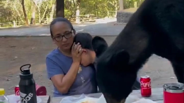 孩子，千万别看