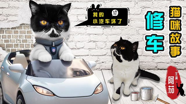 猫咪的小汽车坏了，铲屎官果断出手