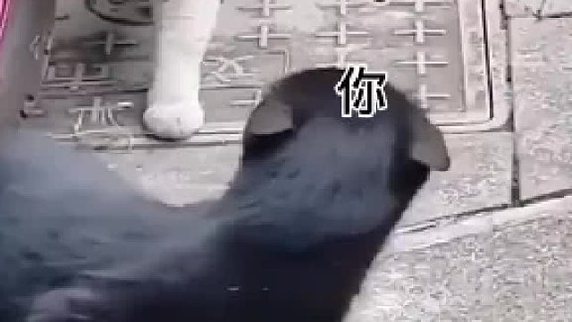 怎么感觉后背凉凉的…