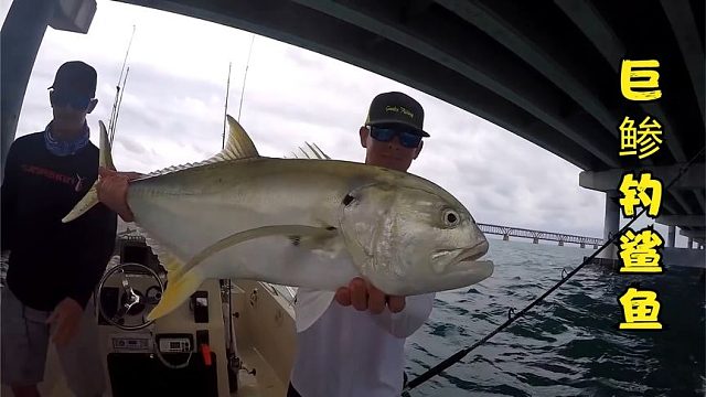 荒野垂钓：三名钓鱼佬在船上架起九根鱼竿垂钓鲨鱼！