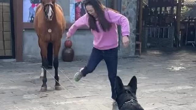 狗狗和马儿被主人充当工具人拉去跳皮筋，没有一捆草和一斤狗粮是拿不下的
