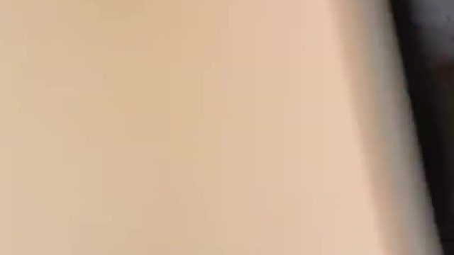 这能想到巴掌大的短腿猫脾气会这么大！！