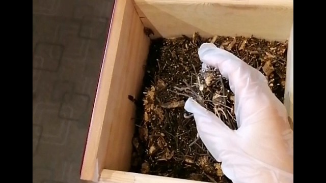 手抖？早发现早治疗早恢复