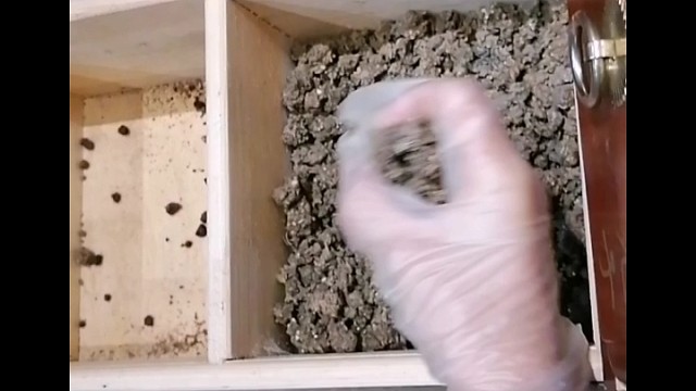 手抖？早发现早治疗早恢复