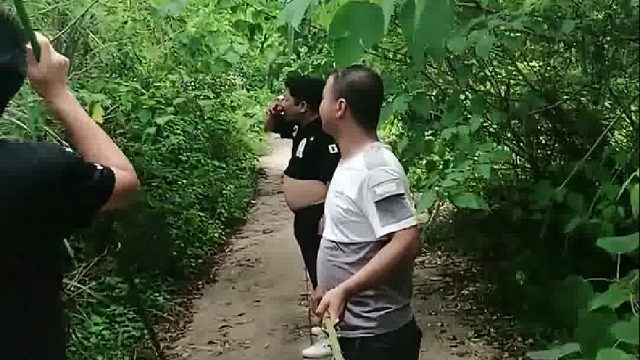 为何男生都爱抓知了啊