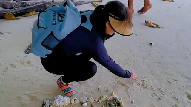 这种蟹能吃吗、