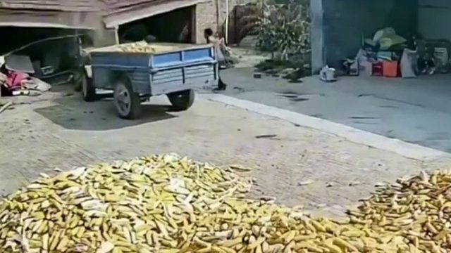 拖拉机撞墙！